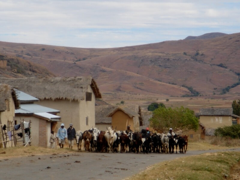 From highlands to the South 10 nights & 11 days from Antananarivo