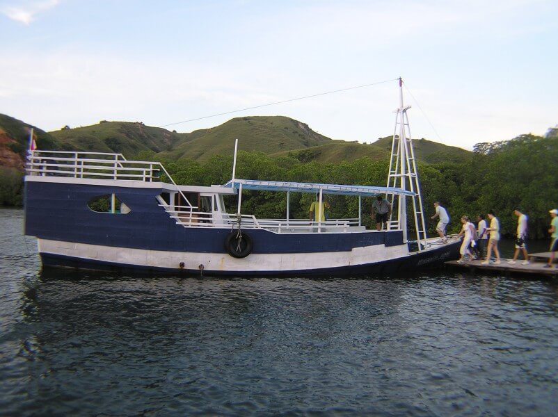 Komodo Dragon Tour