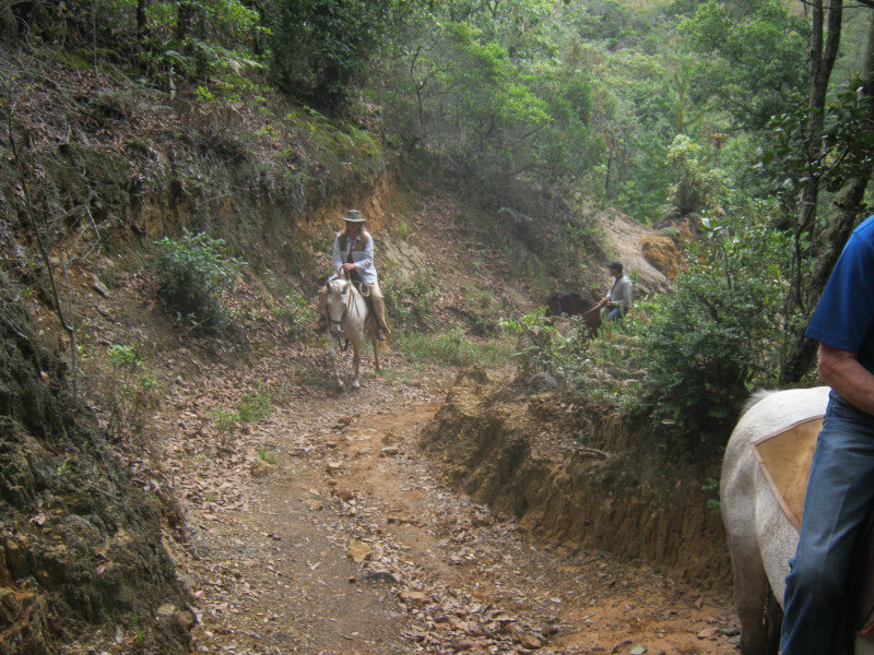 Colombia Private Tailor-Made 3 Days Horse Riding Tour