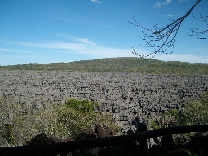 Ankarana Park Excursion